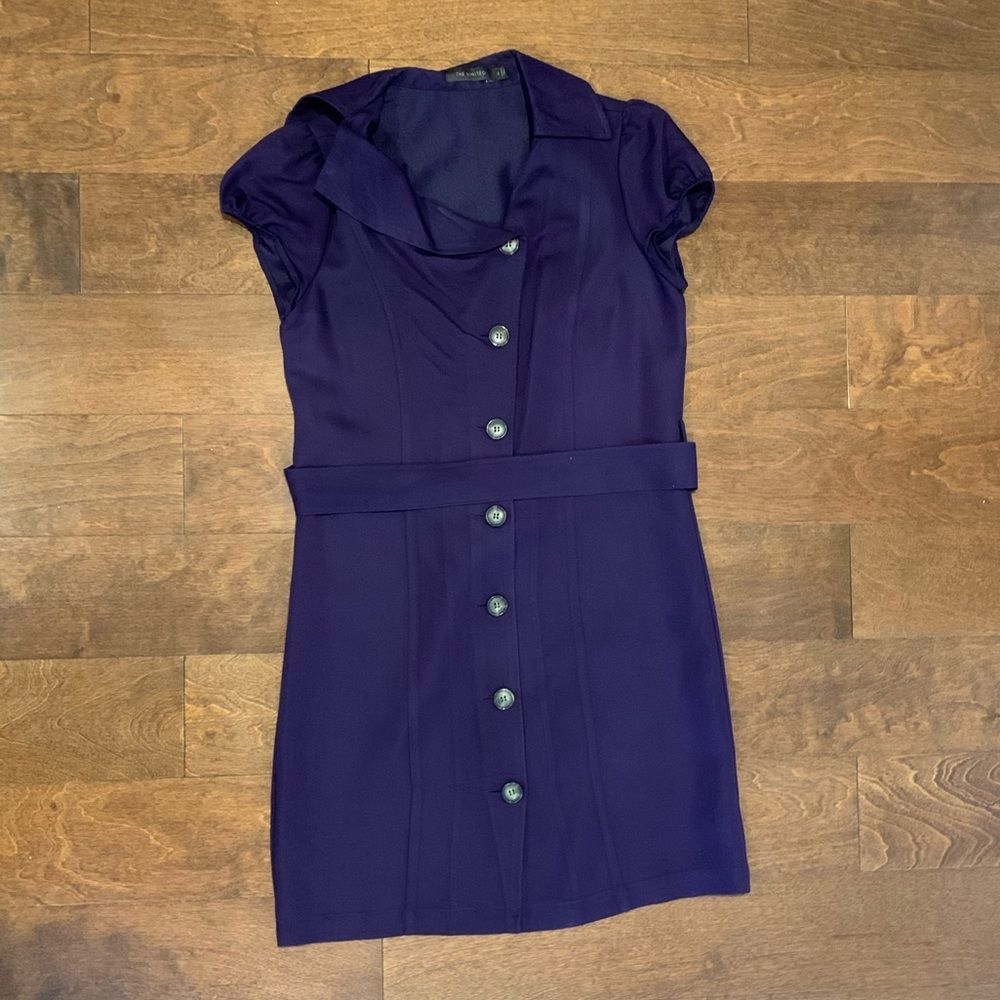 The Limited Purple Button Down Dress